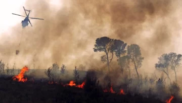 incendios-bosques-areas_naturales_protegidas-bolivia-15